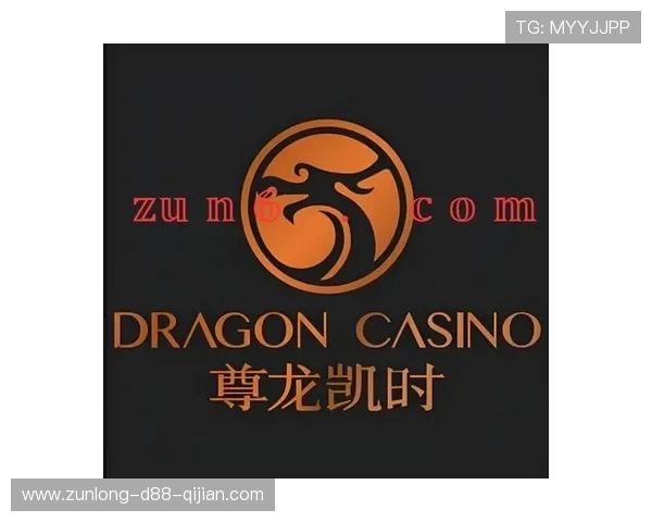 尊龙凯时入口详细攻略，帮助新手快速掌握登录流程与安全注意事项