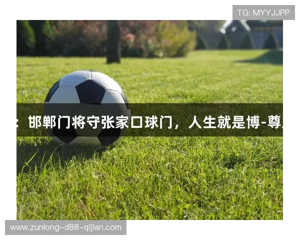 ag尊龙凯时人生就是博：揭秘成功人士的心态与行动，助你在人生道路上不断突破